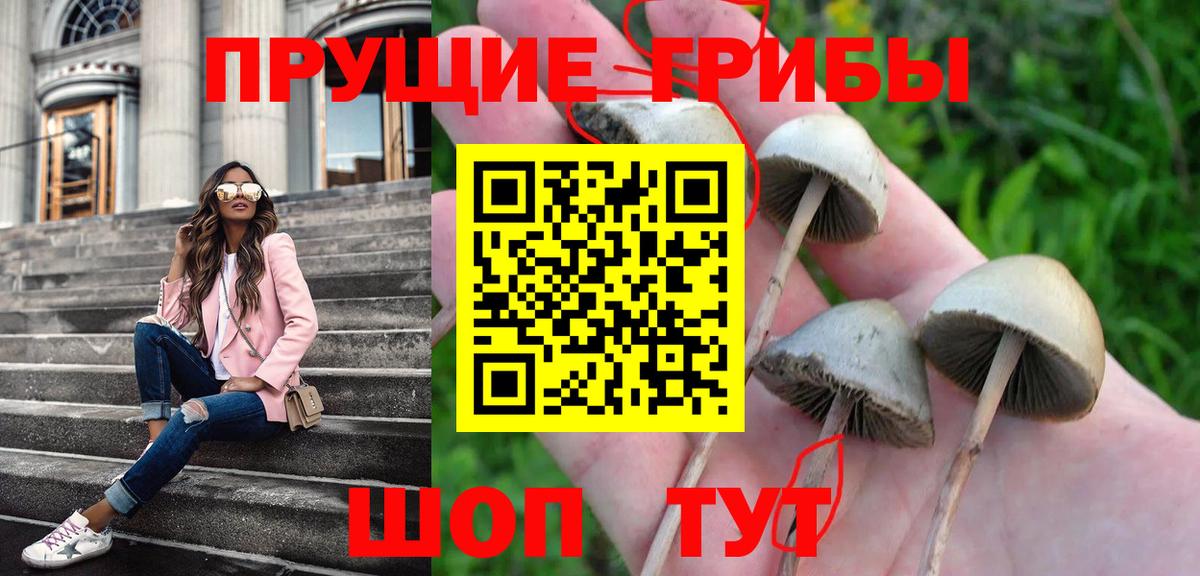 Галлюциногенные грибы мицелий Осинники